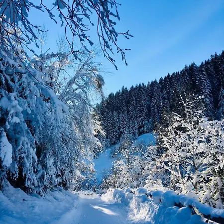 Haus Marco 노이스티프트임스튀바이탈