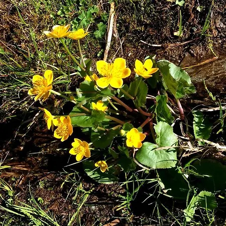Haus Marco * Neustift im Stubaital