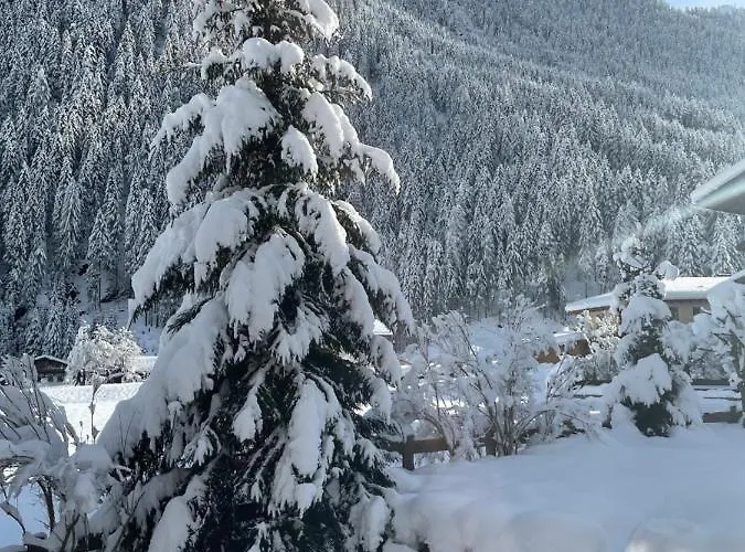 Apartment Haus Marco *