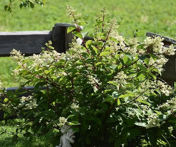 Apartment Haus Marco Neustift im Stubaital