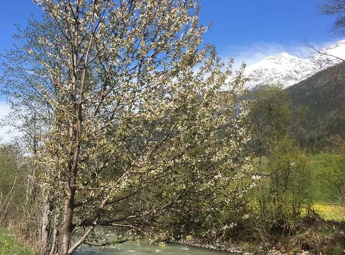 Haus Marco Apartment *